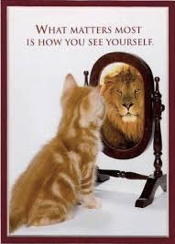 cat_lion_confidence